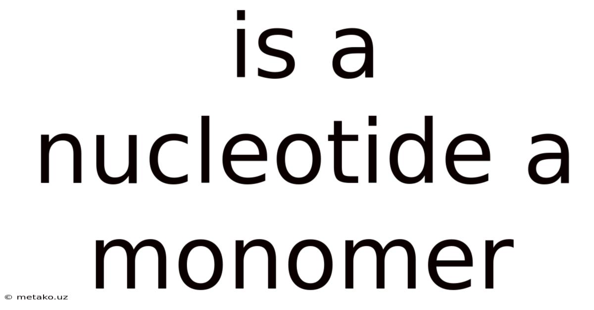 Is A Nucleotide A Monomer