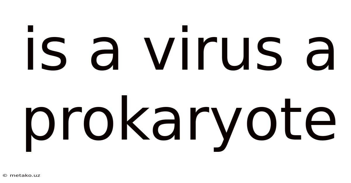 Is A Virus A Prokaryote