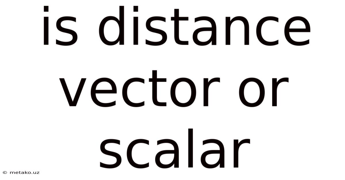 Is Distance Vector Or Scalar