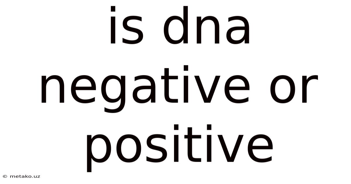 Is Dna Negative Or Positive