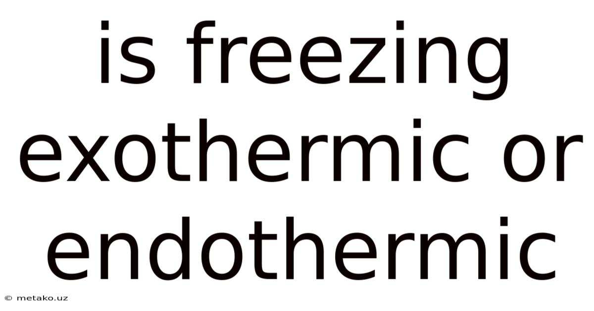 Is Freezing Exothermic Or Endothermic