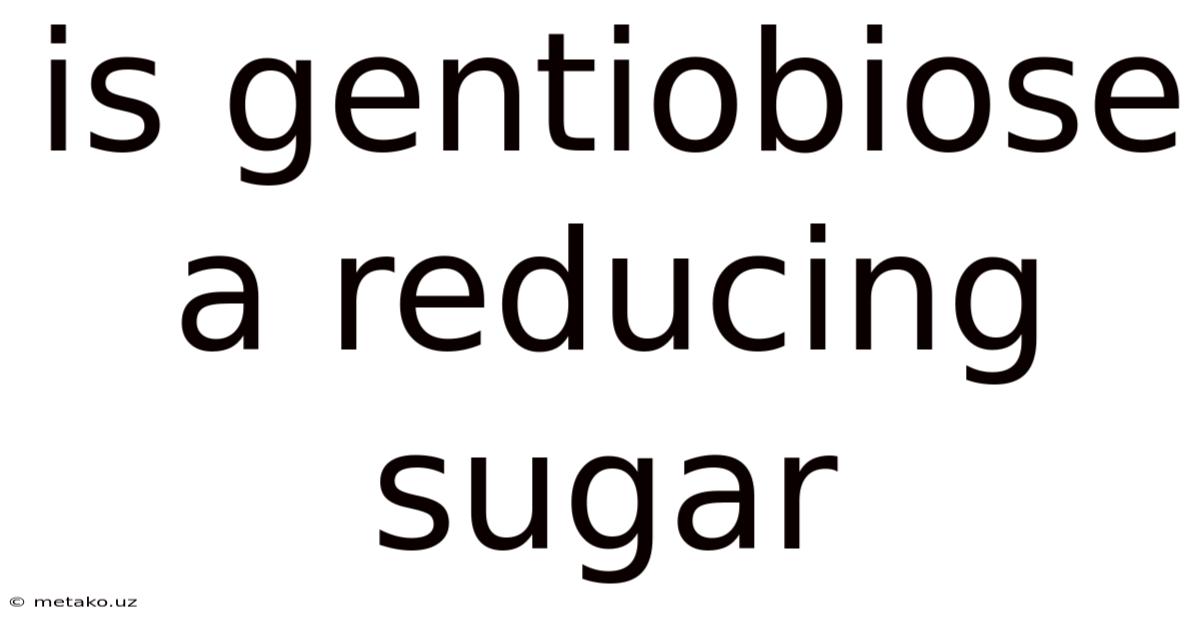Is Gentiobiose A Reducing Sugar