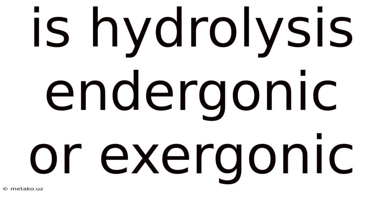 Is Hydrolysis Endergonic Or Exergonic