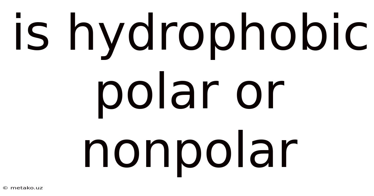 Is Hydrophobic Polar Or Nonpolar