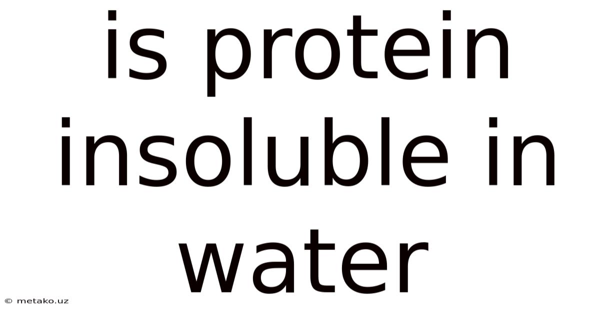 Is Protein Insoluble In Water