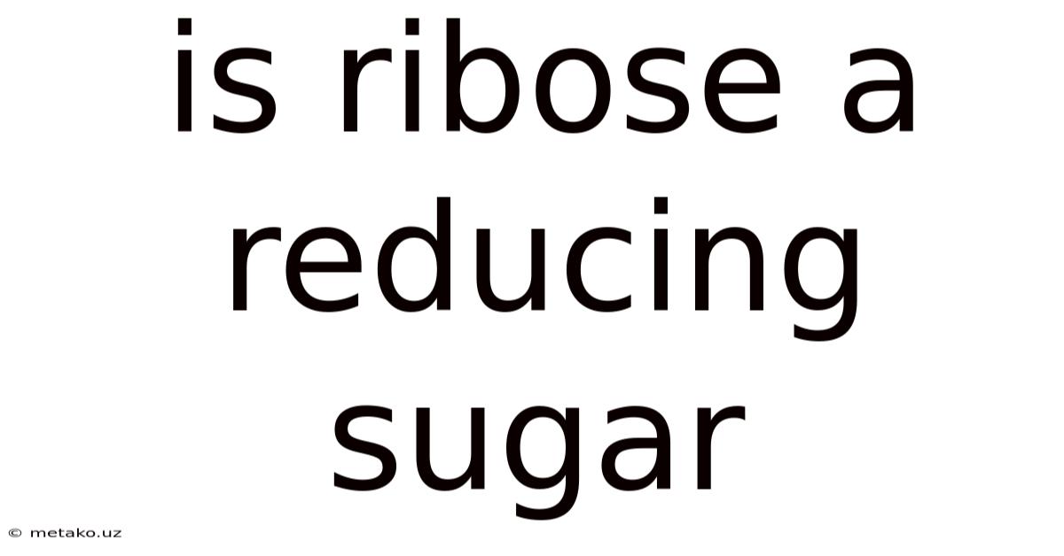 Is Ribose A Reducing Sugar
