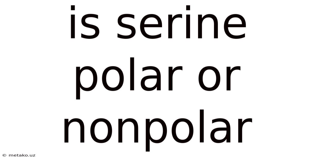 Is Serine Polar Or Nonpolar