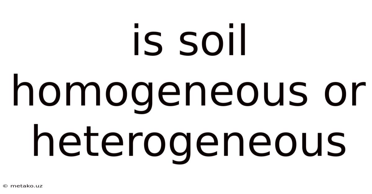 Is Soil Homogeneous Or Heterogeneous