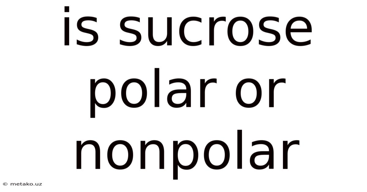 Is Sucrose Polar Or Nonpolar