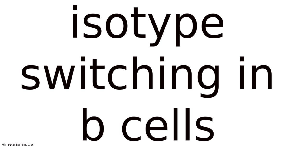 Isotype Switching In B Cells