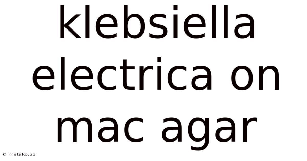 Klebsiella Electrica On Mac Agar