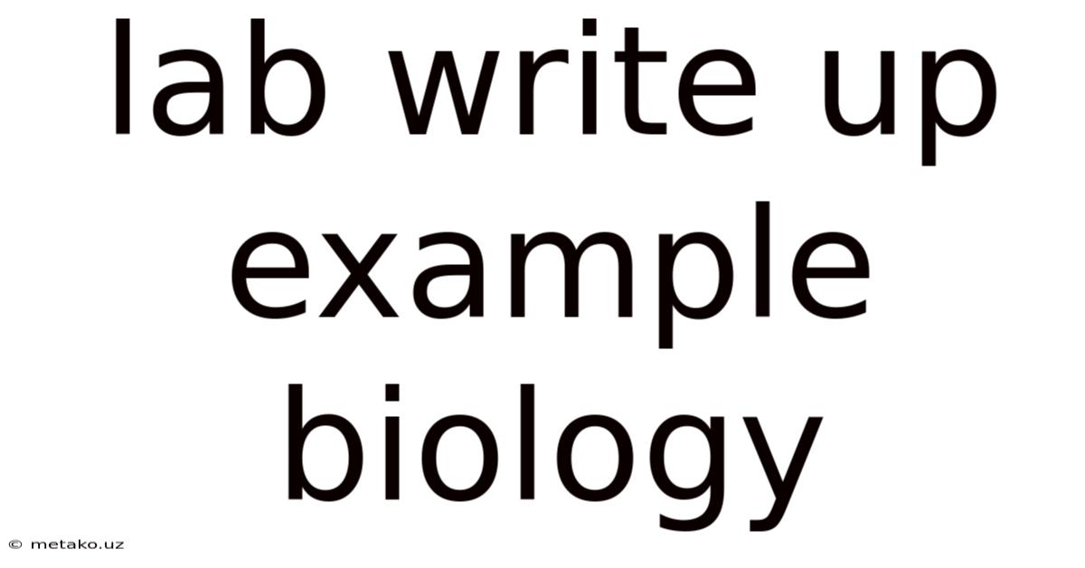 Lab Write Up Example Biology