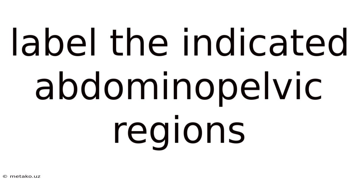 Label The Indicated Abdominopelvic Regions