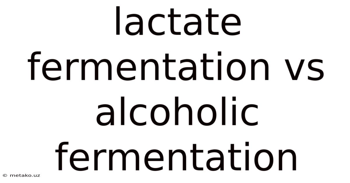 Lactate Fermentation Vs Alcoholic Fermentation