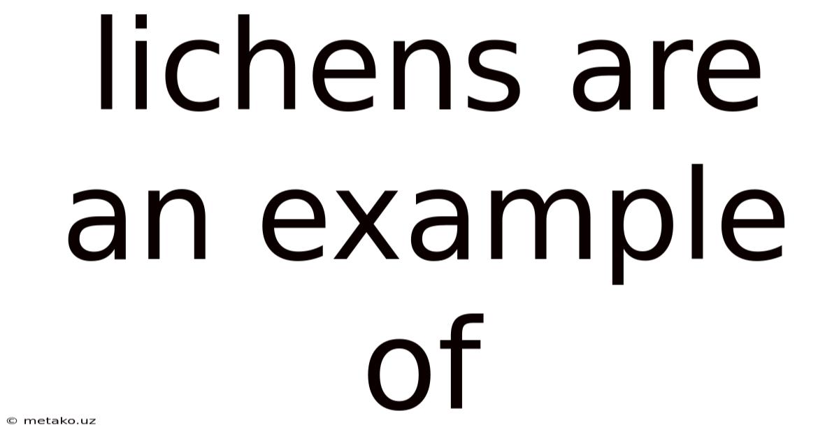 Lichens Are An Example Of