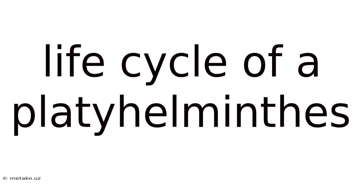 Life Cycle Of A Platyhelminthes