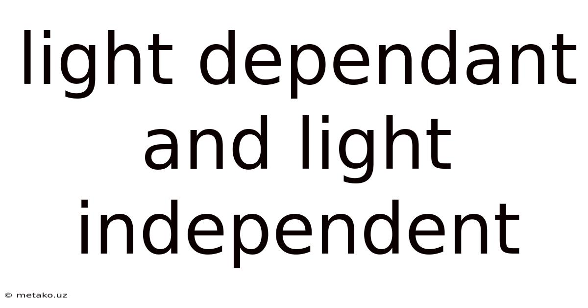 Light Dependant And Light Independent