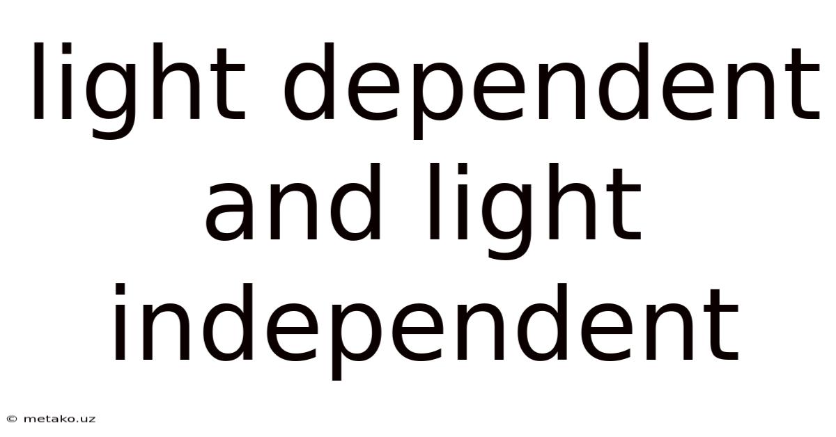 Light Dependent And Light Independent