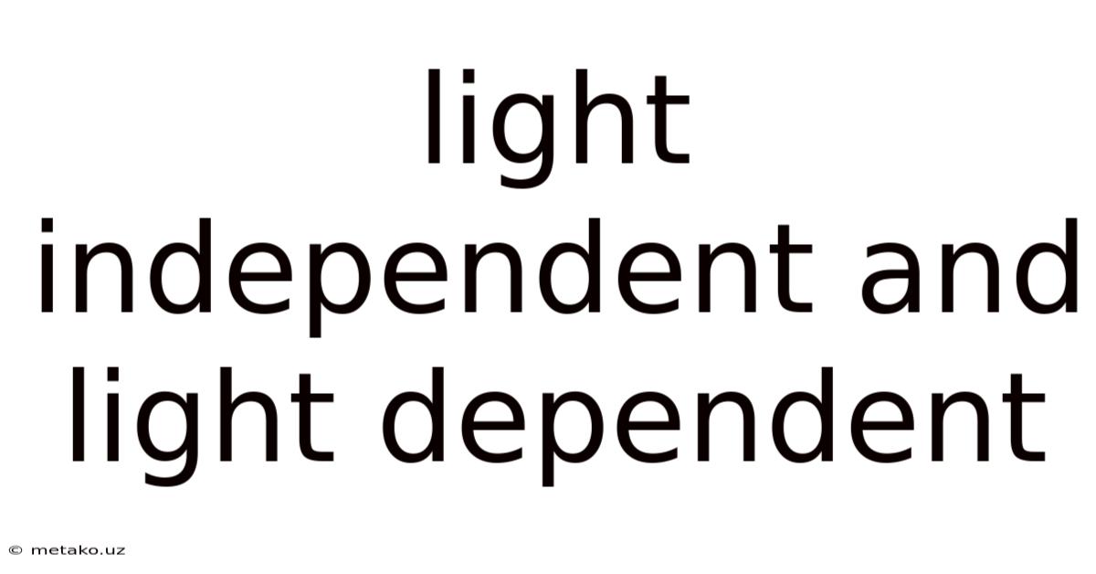 Light Independent And Light Dependent