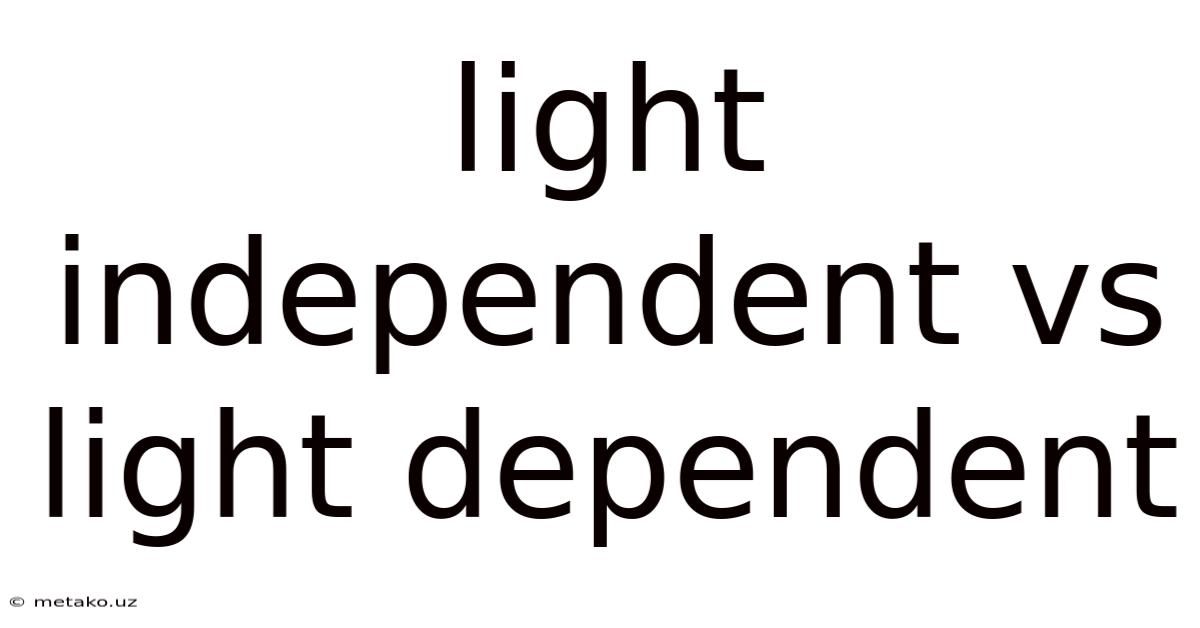 Light Independent Vs Light Dependent