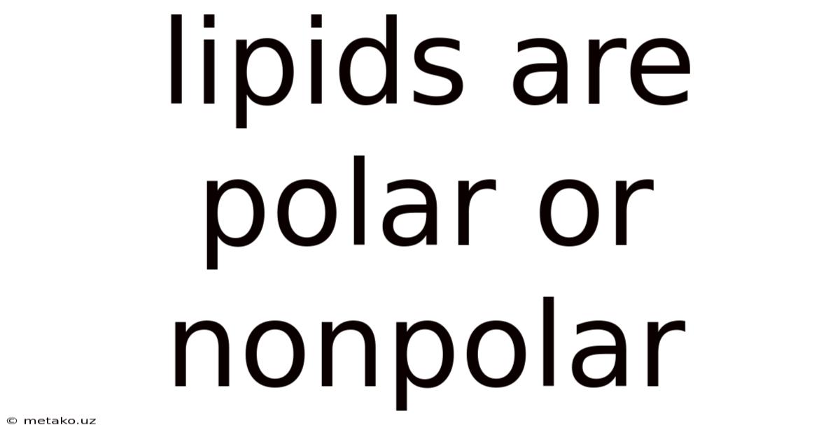 Lipids Are Polar Or Nonpolar