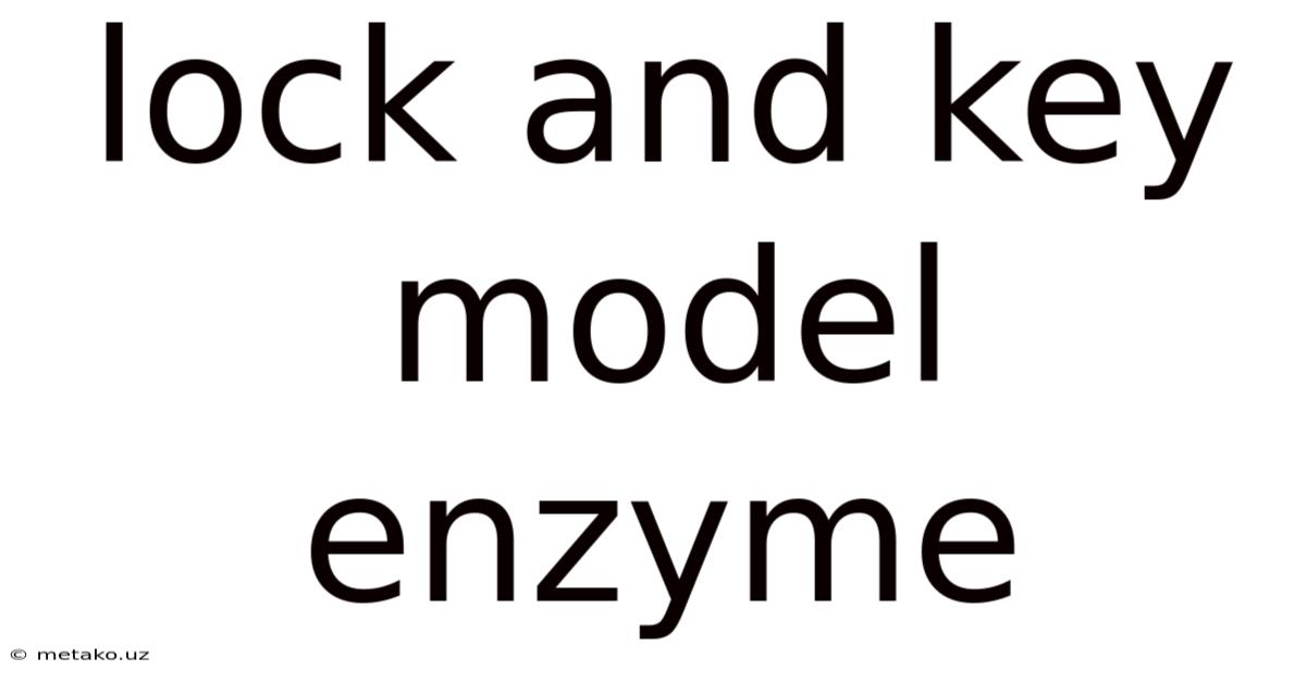 Lock And Key Model Enzyme