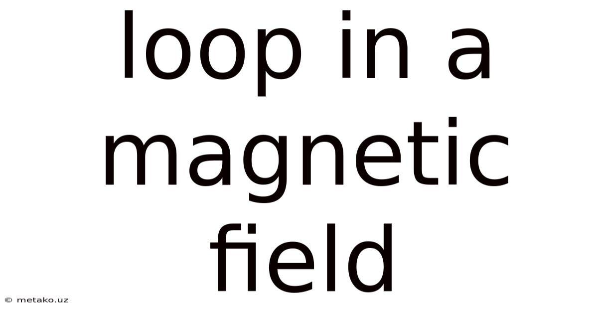 Loop In A Magnetic Field