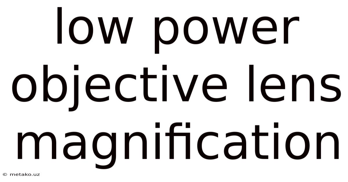Low Power Objective Lens Magnification