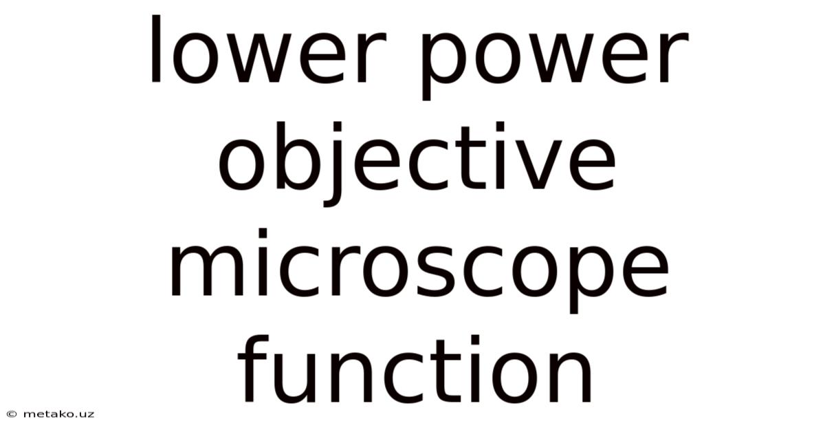 Lower Power Objective Microscope Function