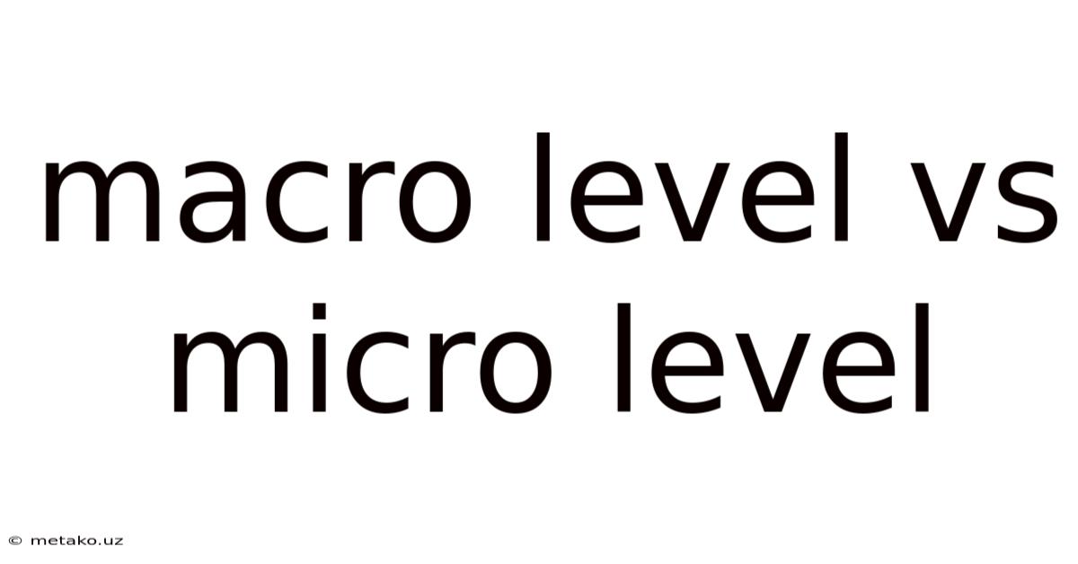 Macro Level Vs Micro Level