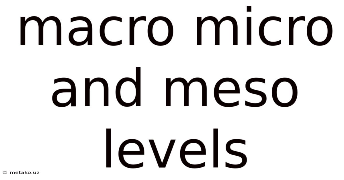 Macro Micro And Meso Levels