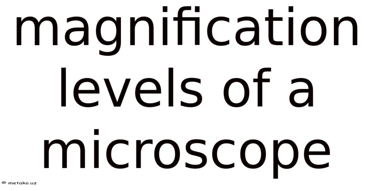 Normal Microscope Magnification Levels Magnification Levels Of A Microscope