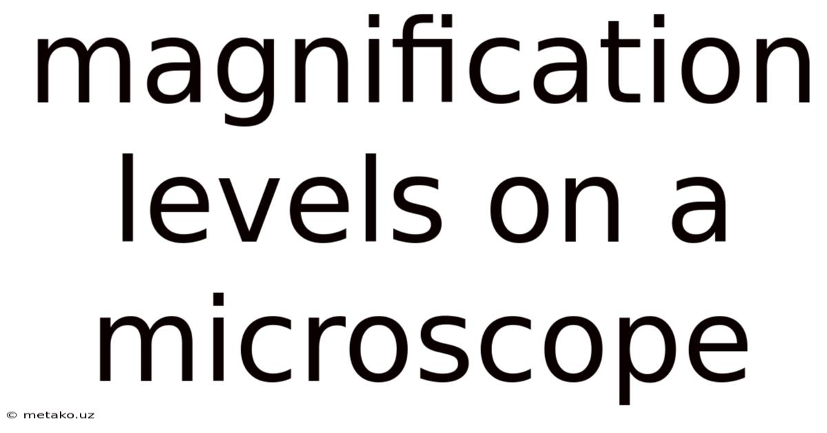 Magnification Levels On A Microscope