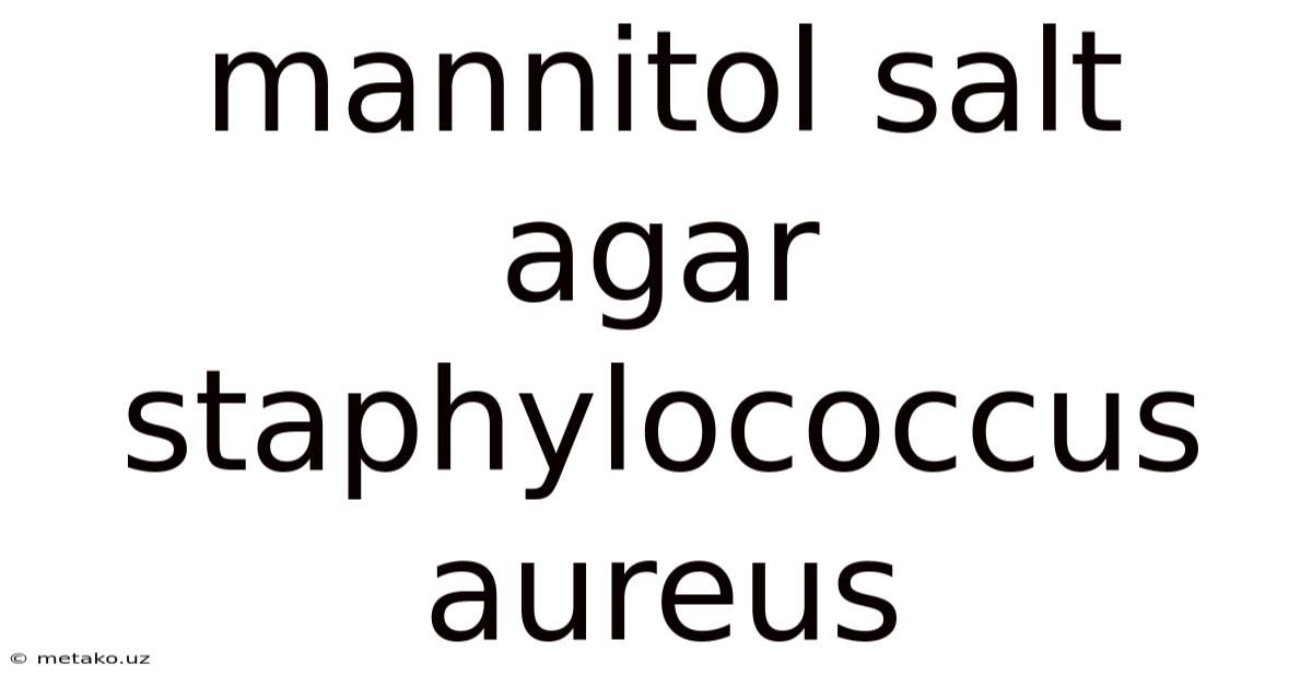 Mannitol Salt Agar Staphylococcus Aureus
