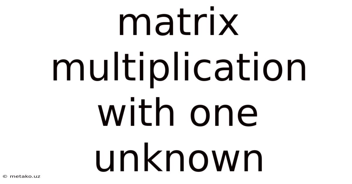 Matrix Multiplication With One Unknown