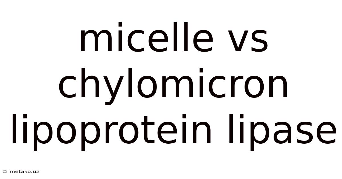 Micelle Vs Chylomicron Lipoprotein Lipase