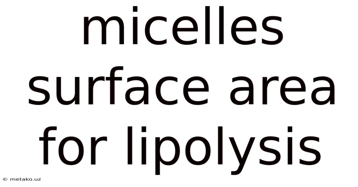 Micelles Surface Area For Lipolysis