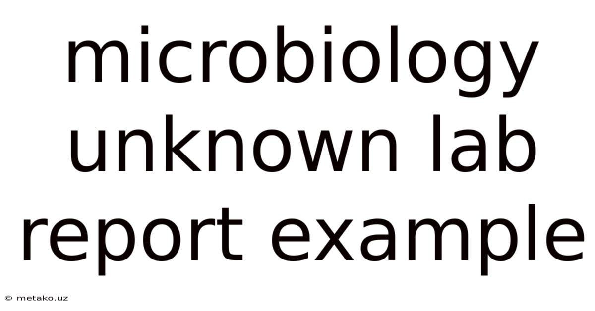 Microbiology Unknown Lab Report Example