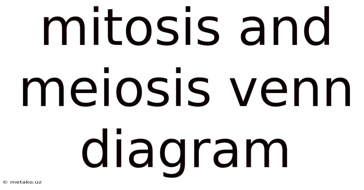 Mitosis And Meiosis Venn Diagram