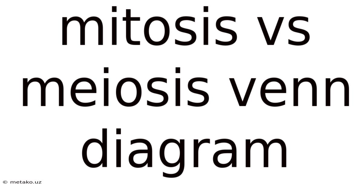 Mitosis Vs Meiosis Venn Diagram