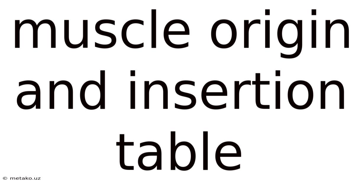 Muscle Origin And Insertion Table