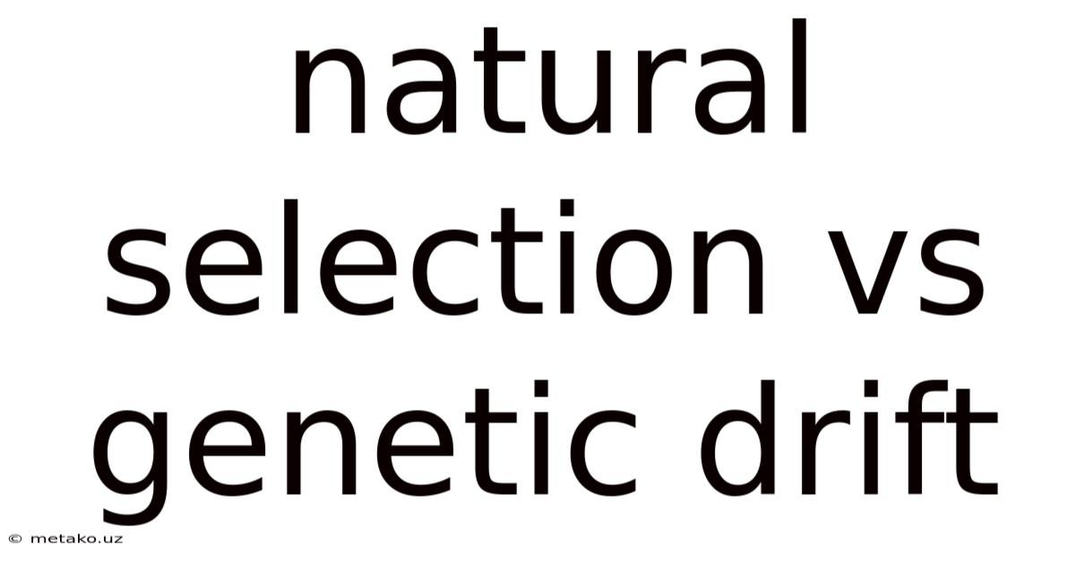 Natural Selection Vs Genetic Drift