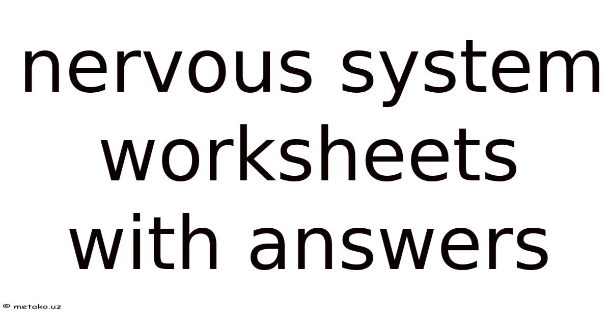Nervous System Worksheets With Answers