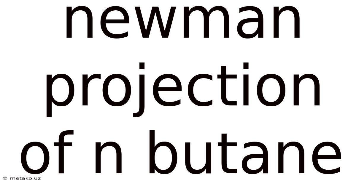 Newman Projection Of N Butane