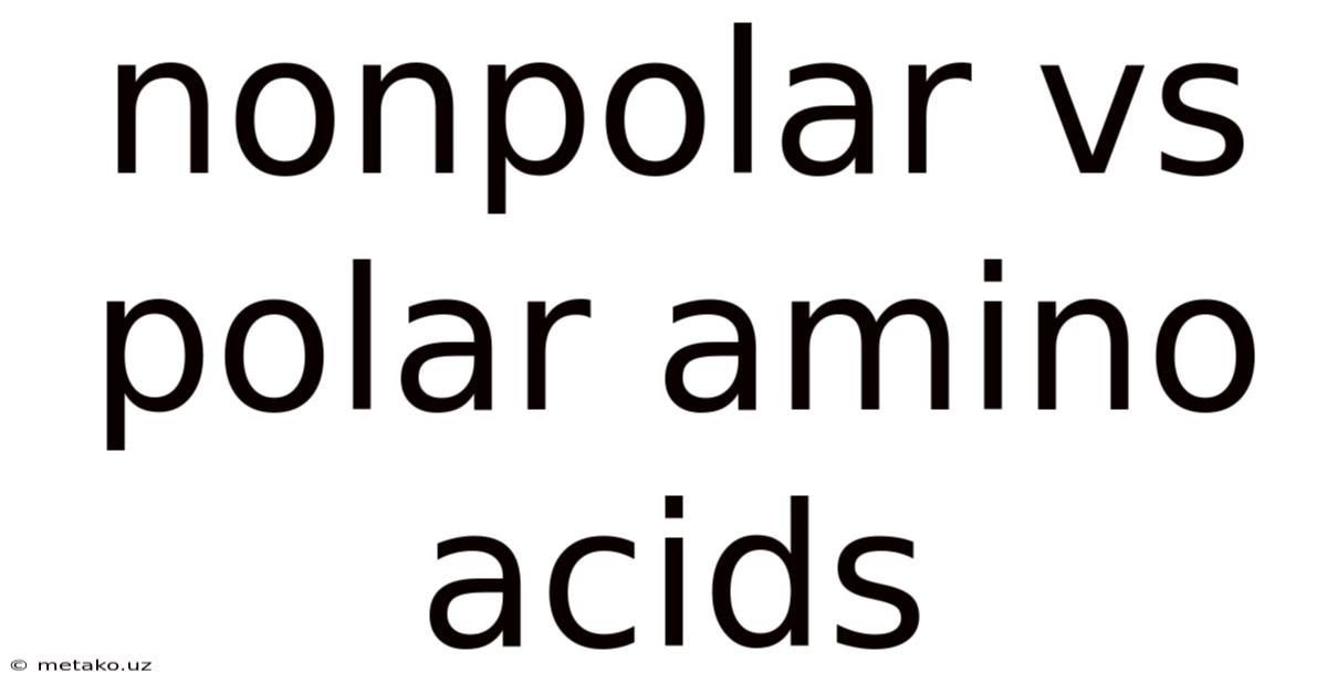 Nonpolar Vs Polar Amino Acids