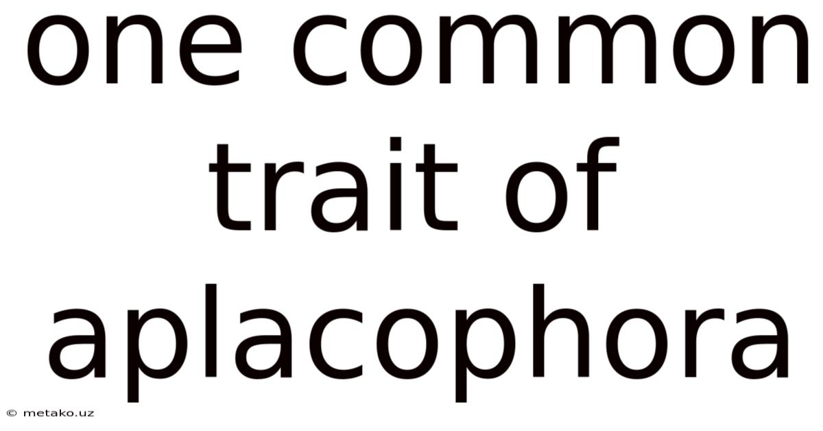 One Common Trait Of Aplacophora