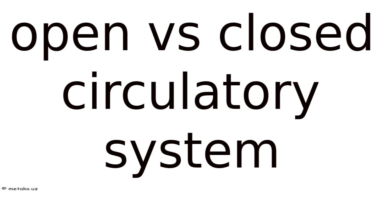Open Circular System Open Vs Closed Circulatory System