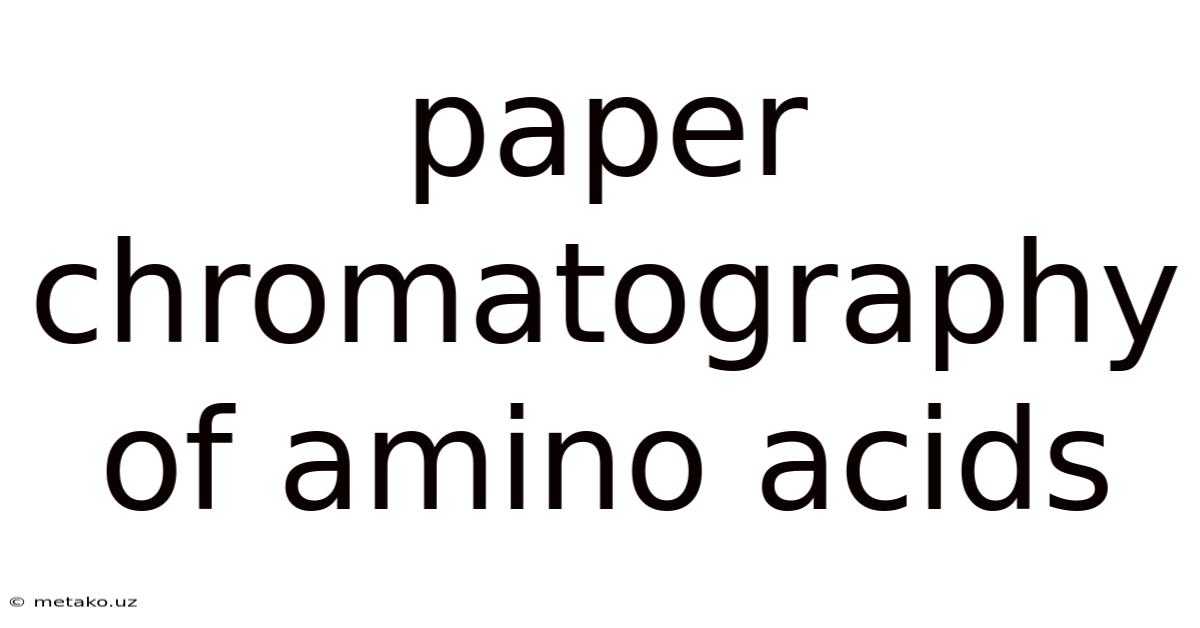 Paper Chromatography Of Amino Acids