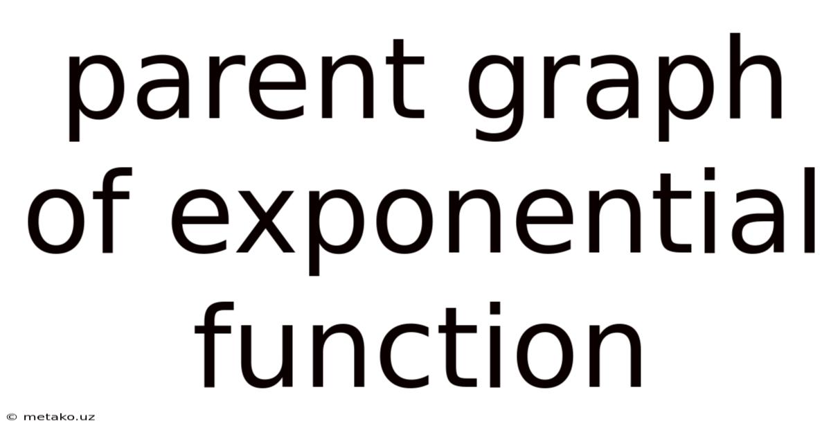 Parent Graph Of Exponential Function