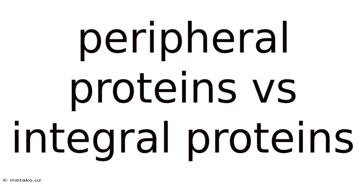 Peripheral Proteins Vs Integral Proteins